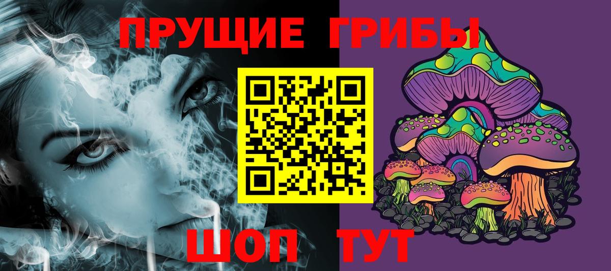 Псилоцибиновые грибы Cubensis  Вход с VPN  Назарово 